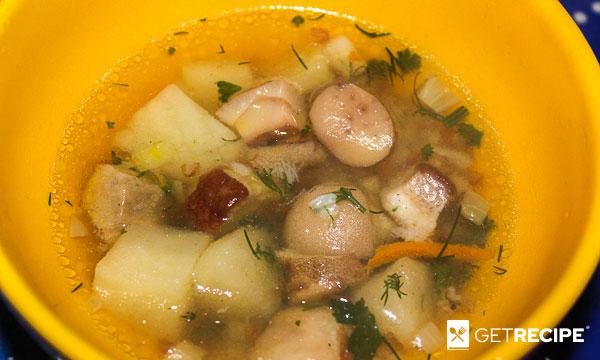 Photo of Суп гречневый с маслятами и белыми грибами (2-й рецепт)