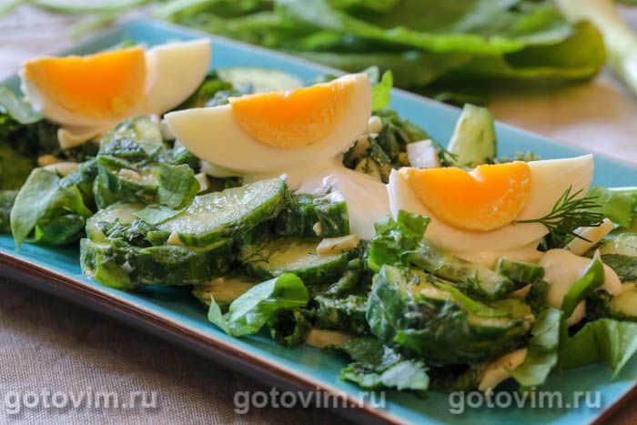 Салат из щавеля с яйцом и огурцом