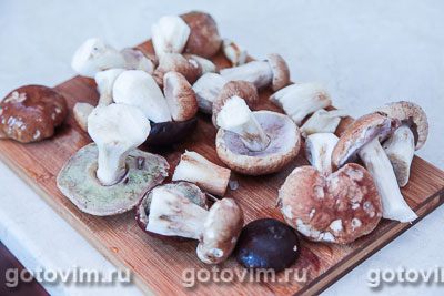 Консервированные жареные белые грибы