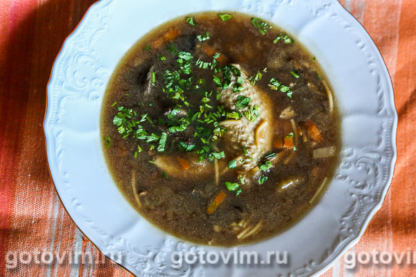 Куриный суп с сушеными грибами и вермишелью