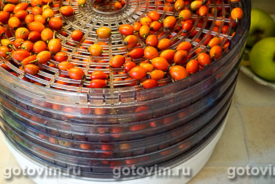 Заготовка ягод шиповника в электросушилке