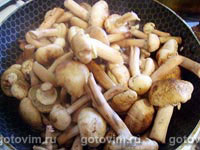 Рагу из кабачков с грибами
